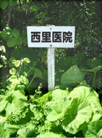 �Ԏ~�߂ɐڒ��B���ɒ��ԏ�B